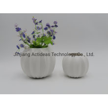 Fashion Design Ceramic Flower Vase Home Decoration
